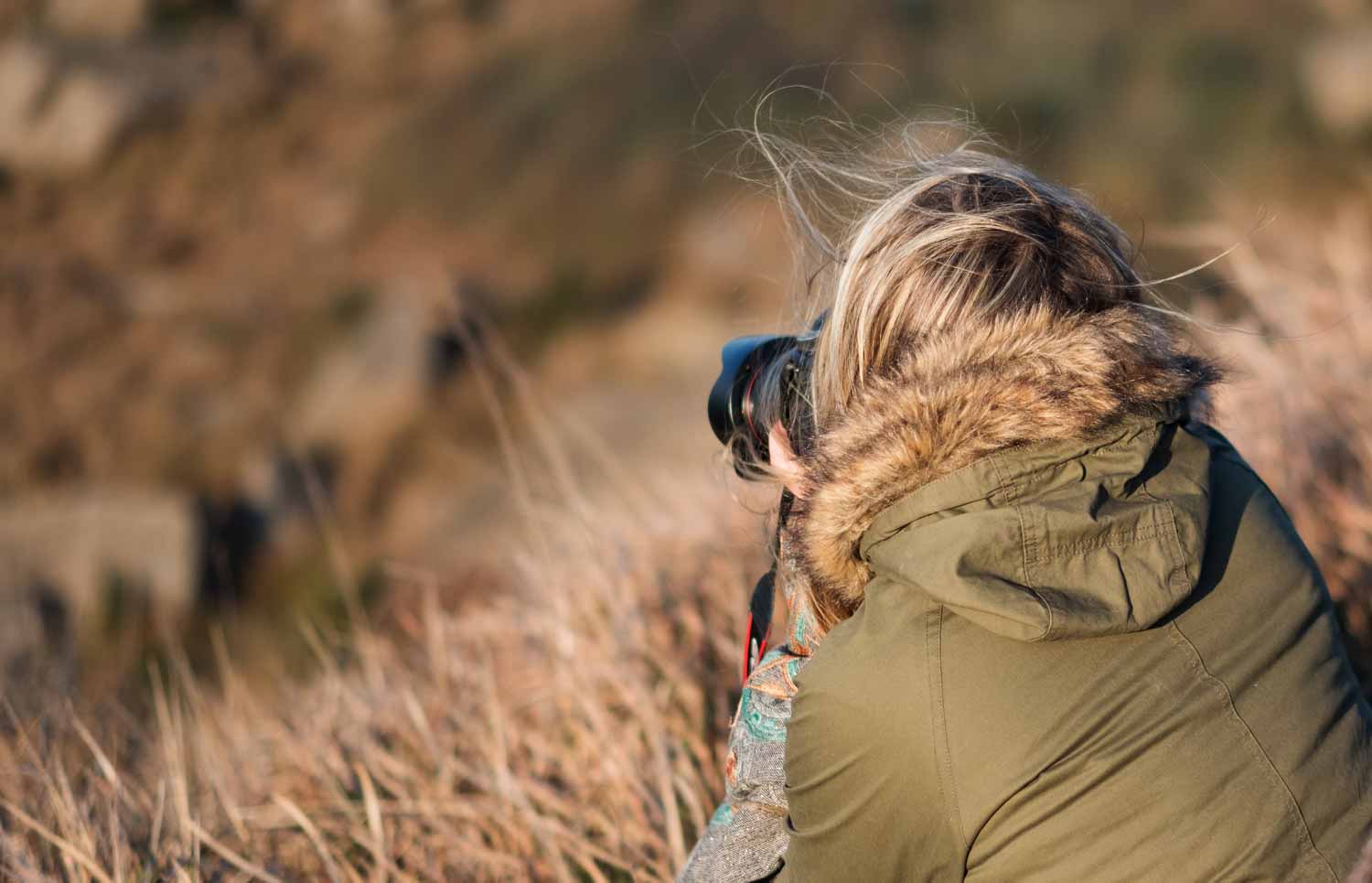 Deer photo stalking in Scotland