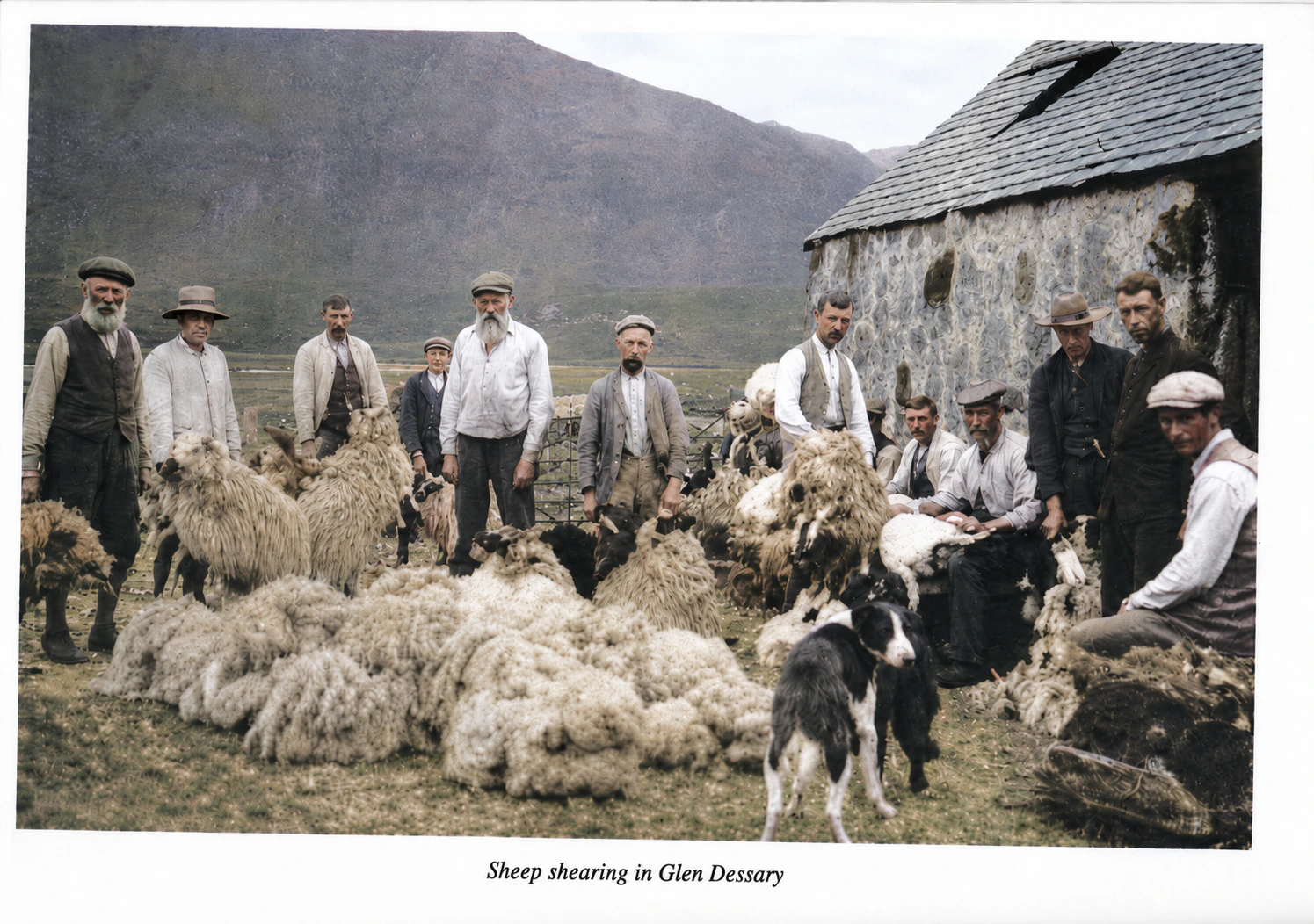 Sheep shearing in Glen Dessary: shepherds, clipped fleeces and a collie outside a stone shed, colourised