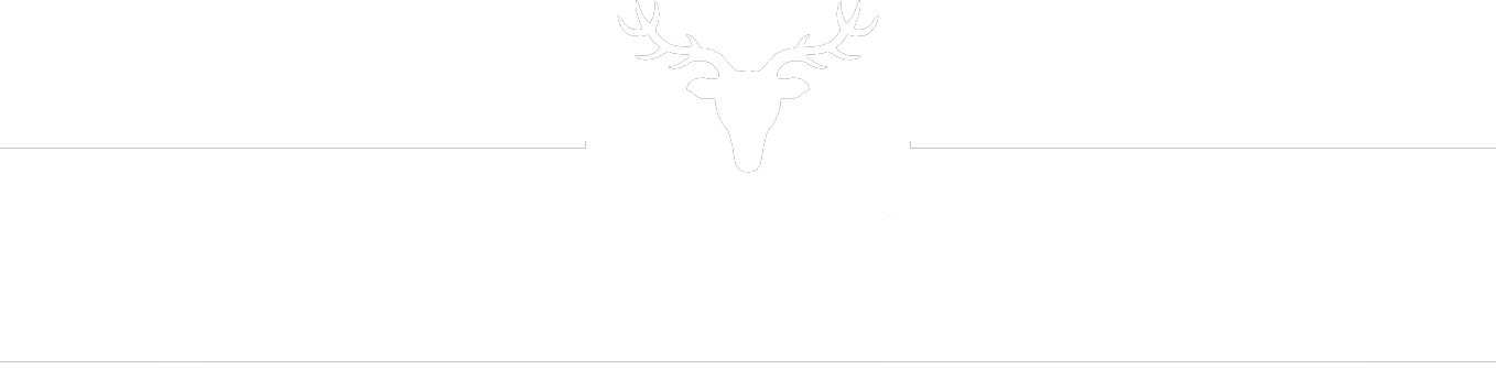 deer stalking in Scotland